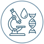 icon-example